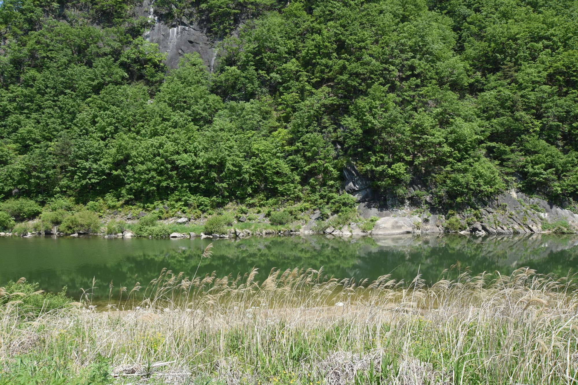 Ecopia Pension Pjongczang Zewnętrze zdjęcie
